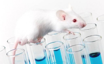 Nettoyage de cages d'animaux Nettoyage de cages d'animaux